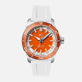 C60 Trident Reef