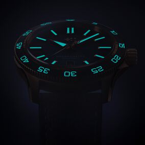 C60 Pro 300 Bronze