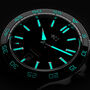 C60 Trident Pro 300