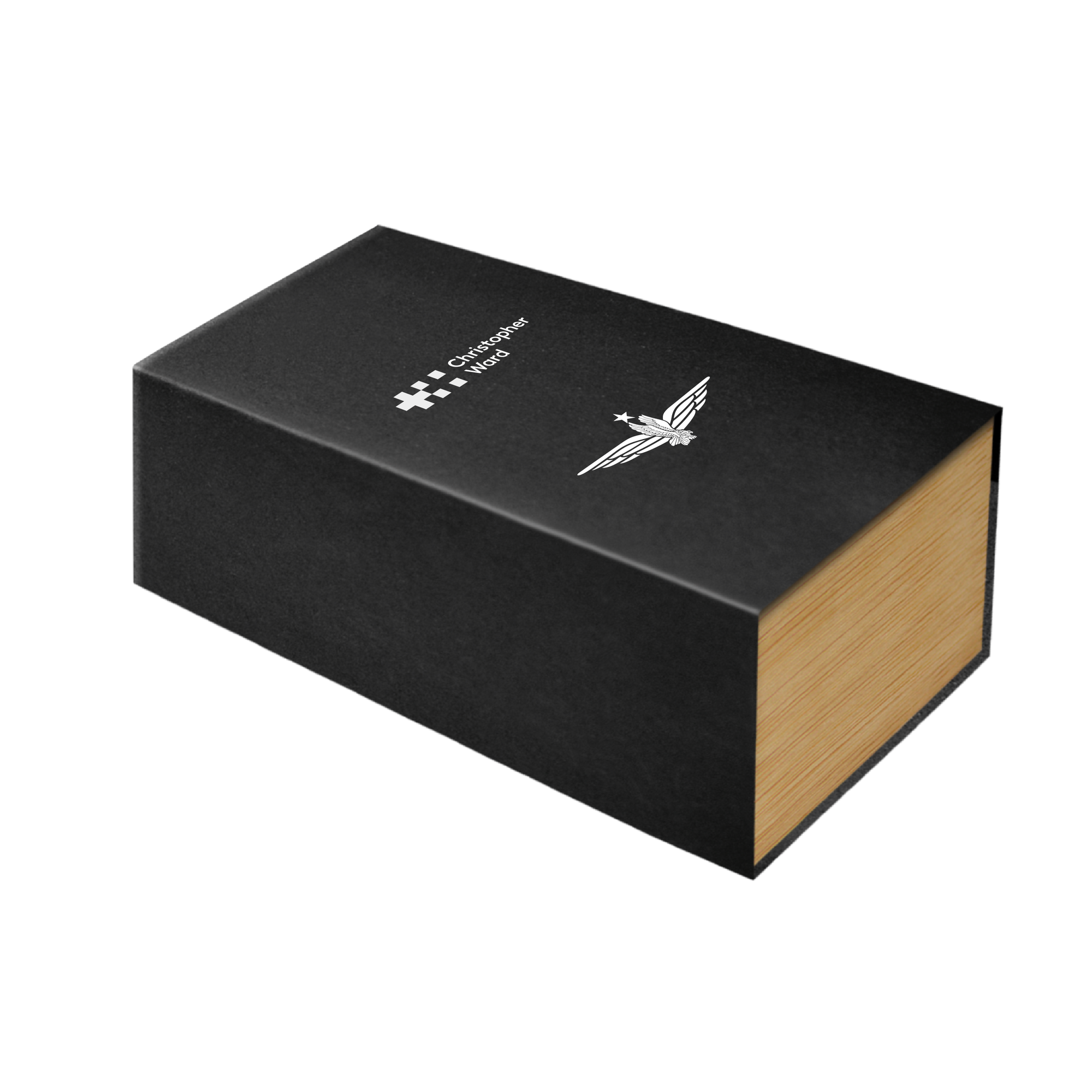 C60 300 GMT x Airline Pilots - Captain 2.0