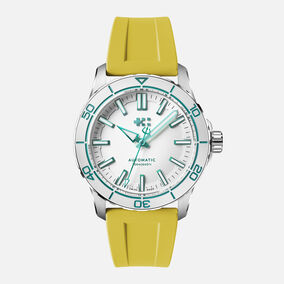 C60 Trident Reef