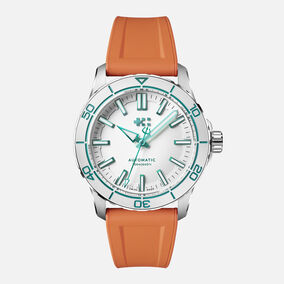 C60 Trident Reef
