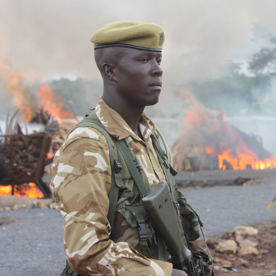 Bespoke 9324 Bel Canto