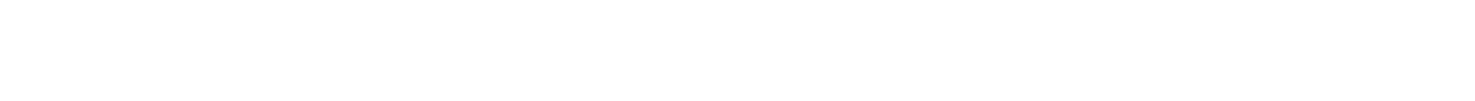 Sealander Big Logo