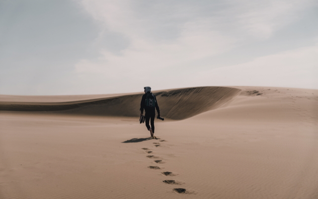 C65 Dune article